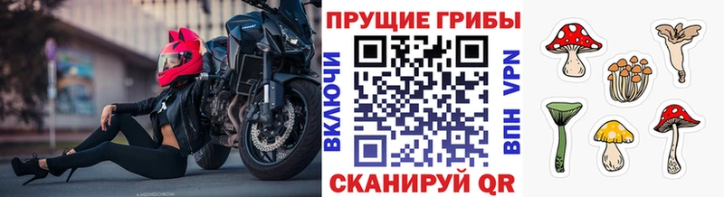 наркошоп Змеиногорск Псилоцибиновые грибы ЛСД